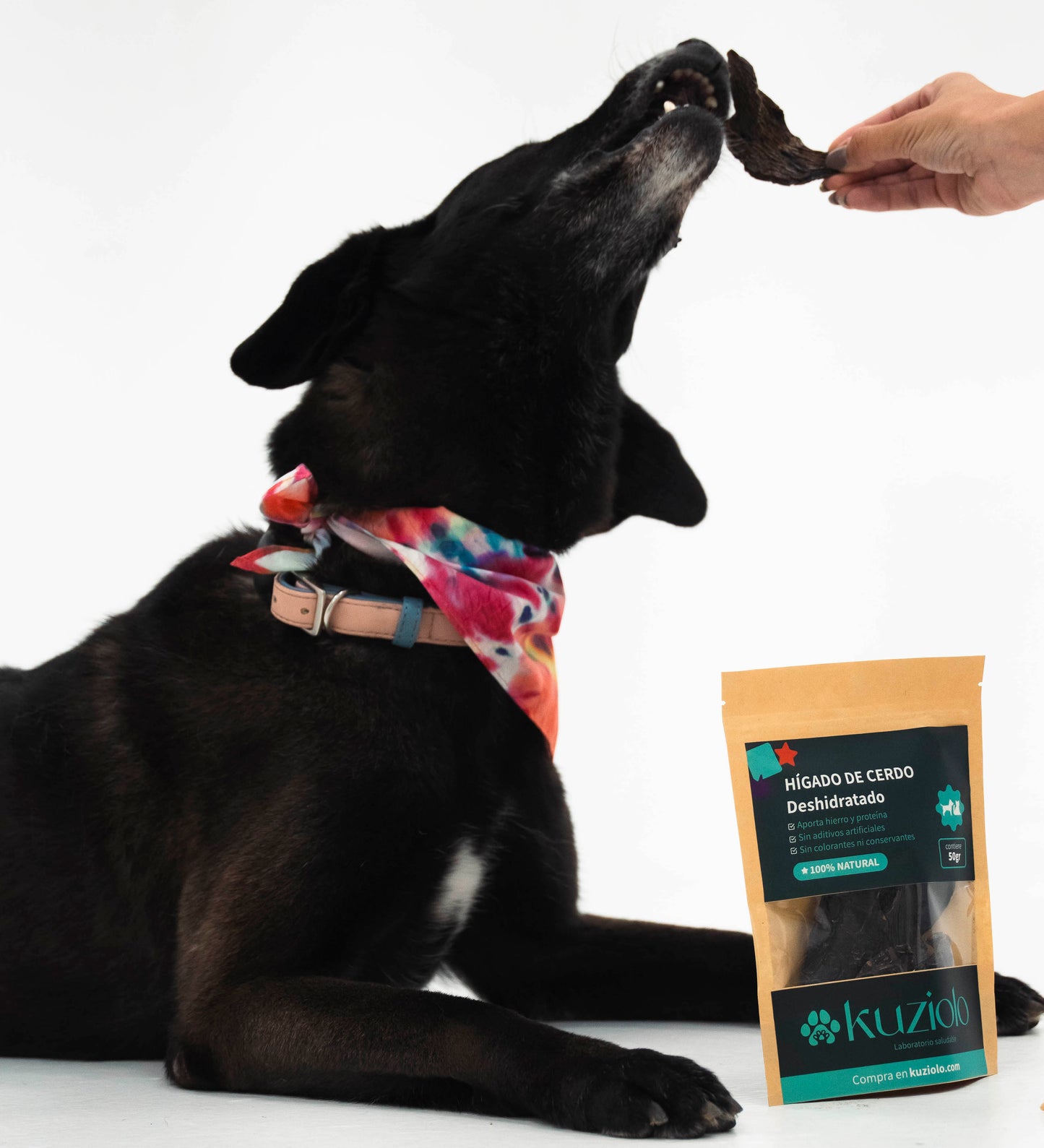 Hígado de cerdo deshidratado