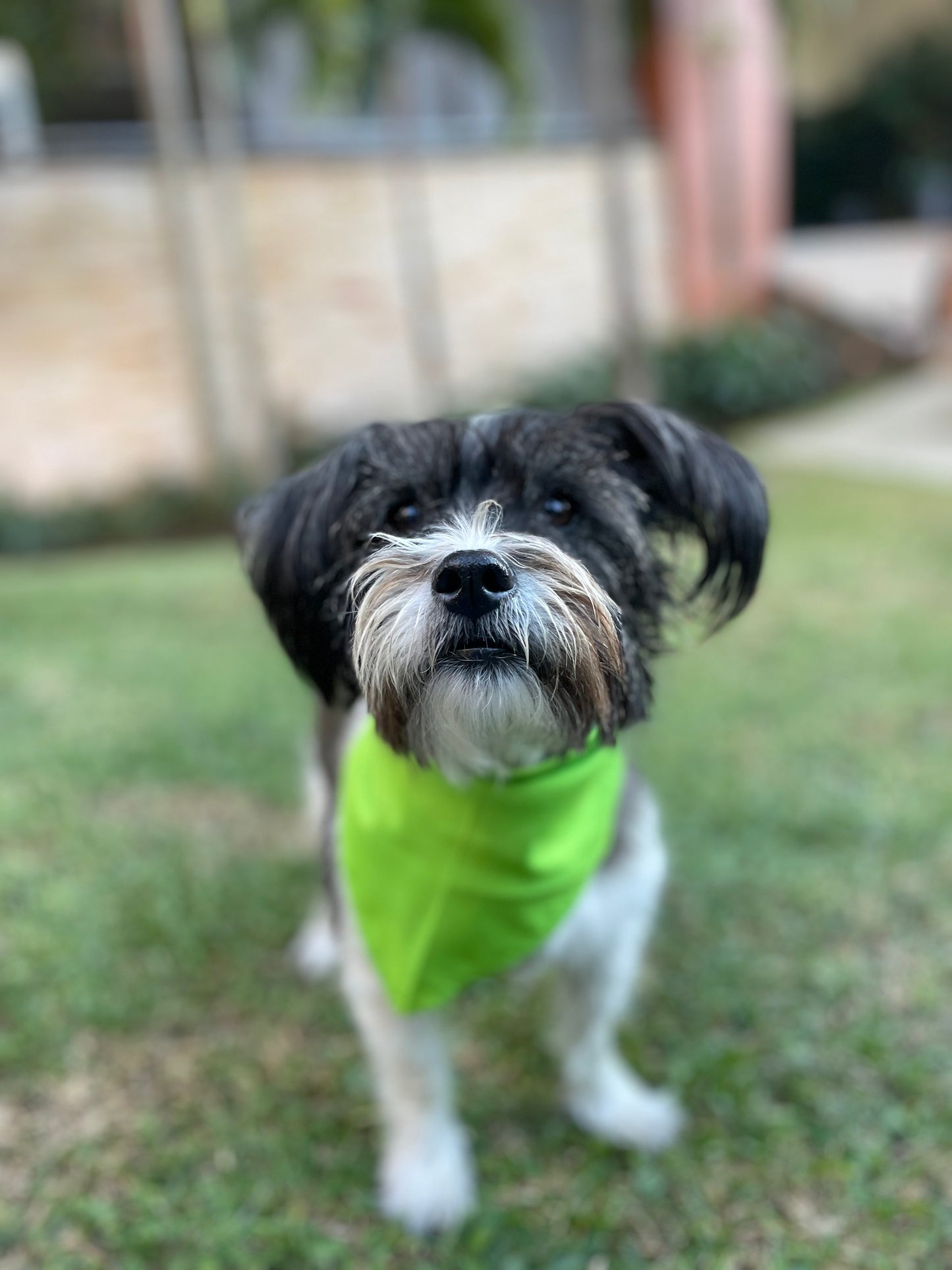 Pañoleta Tie Dye