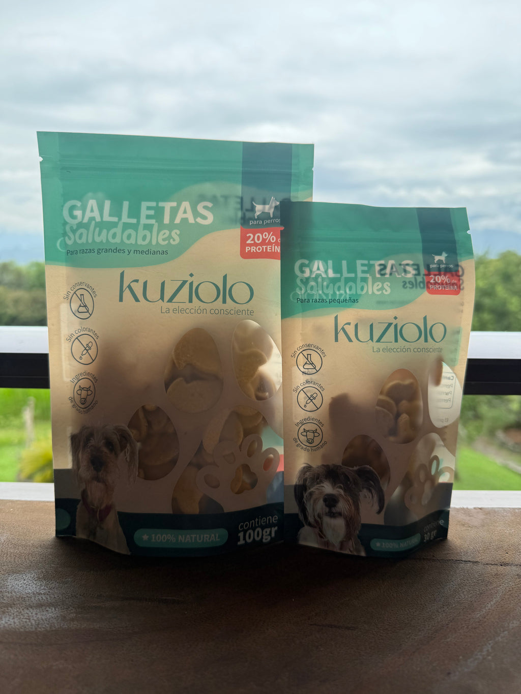 Galletas Saludables para perros de Mango