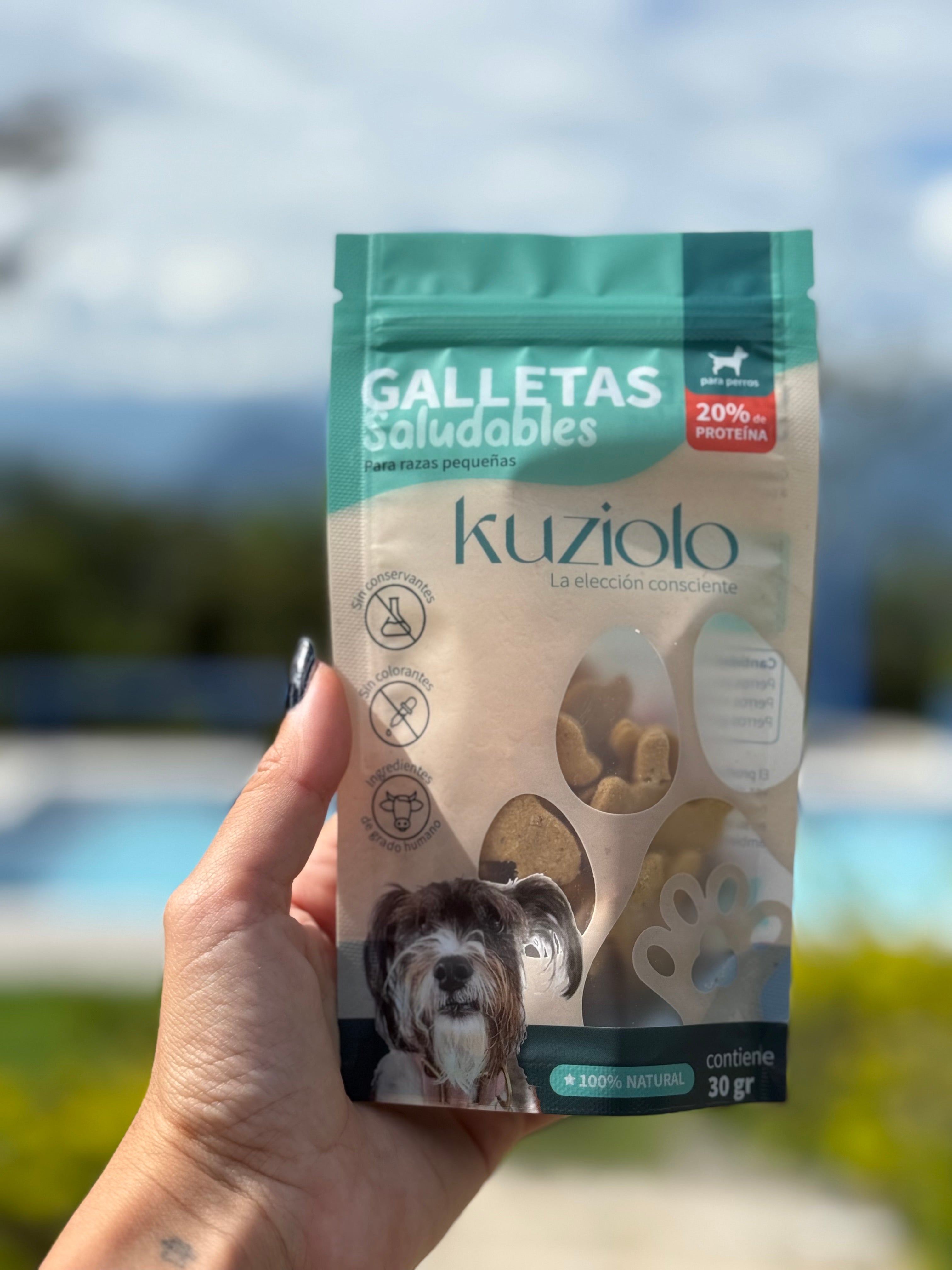 Galletas Saludables para perros de Mango