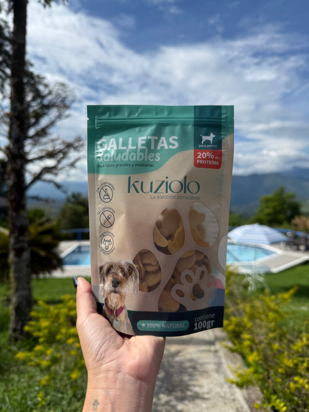 Galletas Saludables para perros de Mango
