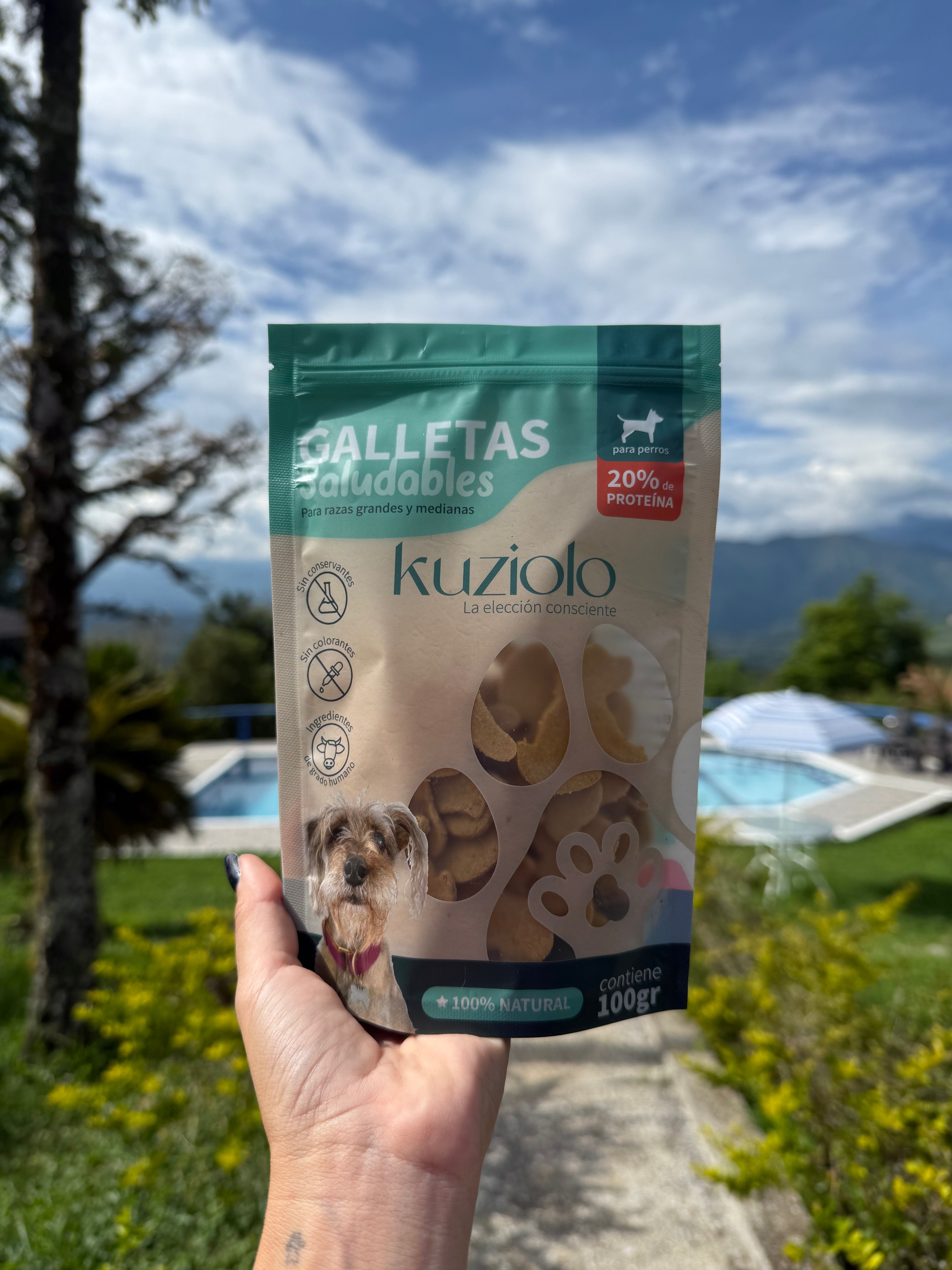 Galletas Saludables para perros de Mango
